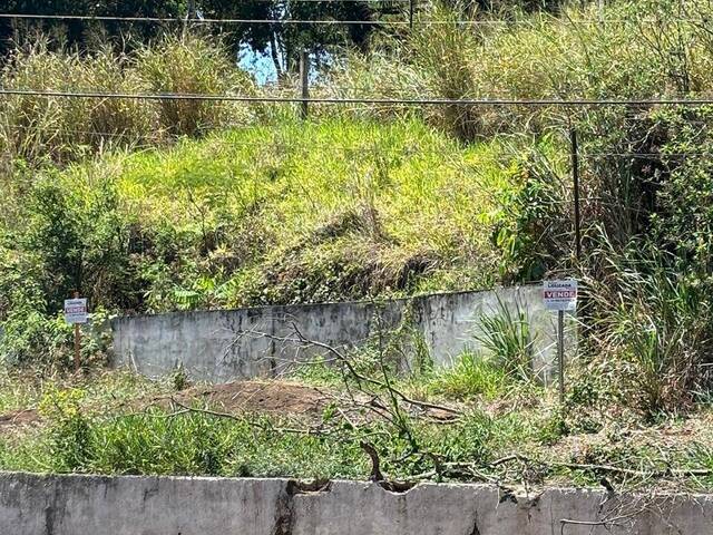 #29 - Área para Venda em Piraju - SP - 2