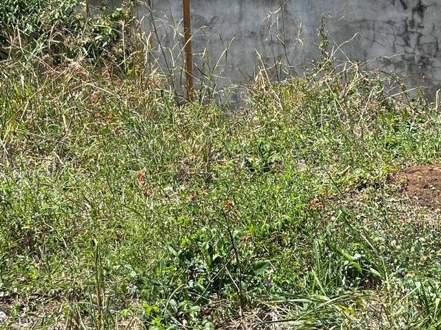 Área para Venda em Piraju - 5