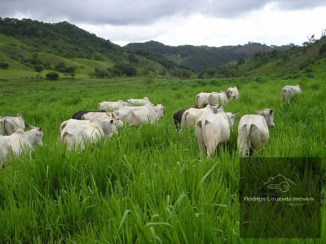 #47 - Chácara para Venda em Piraju - SP